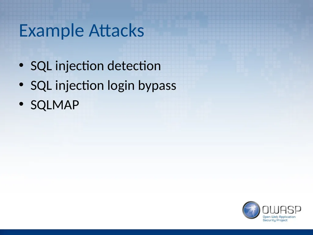 Introduction to Application Penetration Testing - slide 22 of 26