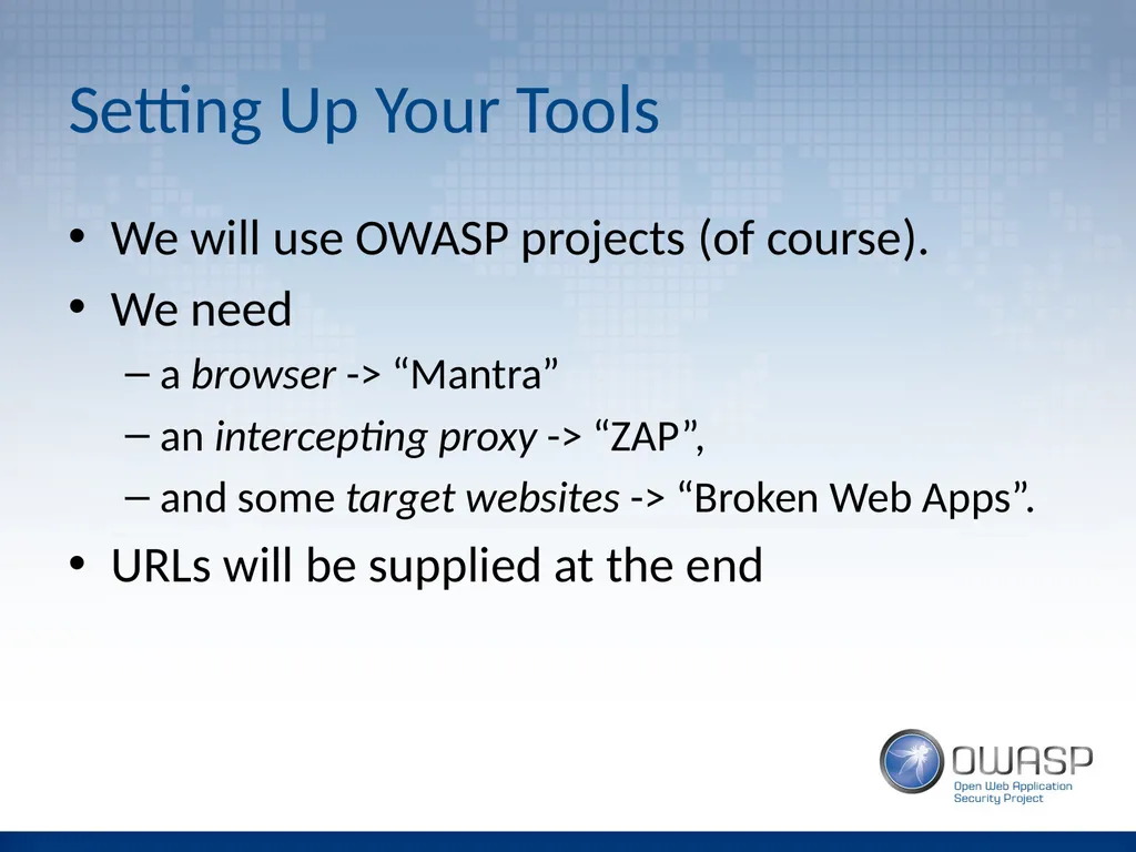 Introduction to Application Penetration Testing - slide 7 of 26