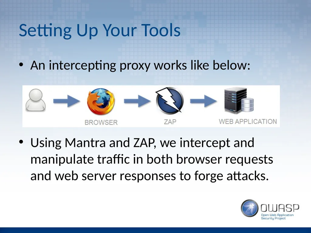 Introduction to Application Penetration Testing - slide 8 of 26