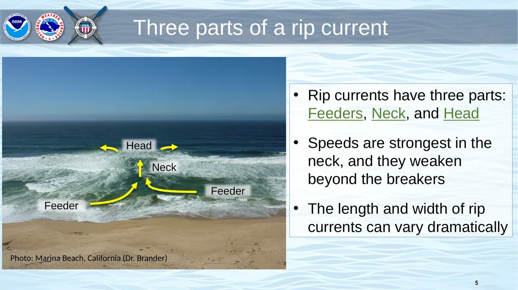 Rip Current Basics and Safety Information Know - slide 5 of 20