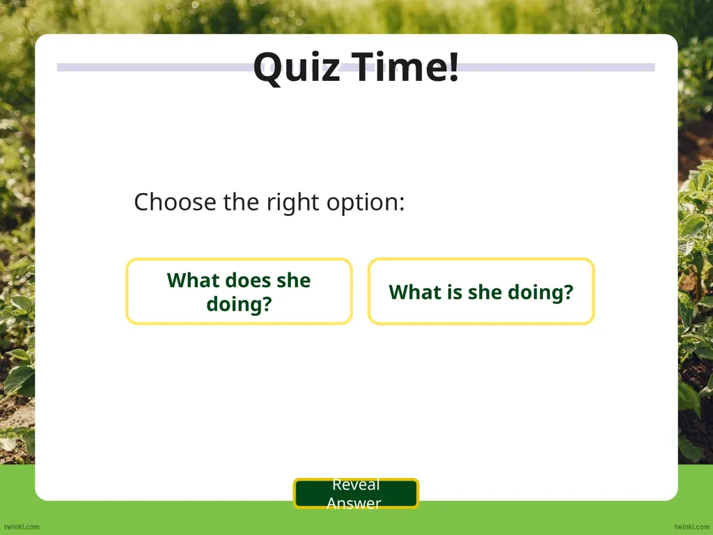 We use the auxiliary verb ‘do’ to make questions - slide 11 of 33