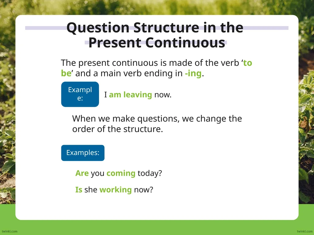 We use the auxiliary verb ‘do’ to make questions - slide 5 of 33