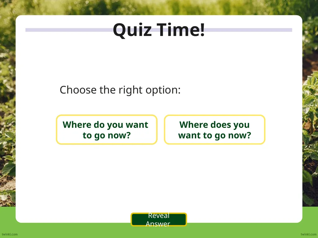 We use the auxiliary verb ‘do’ to make questions - slide 10 of 33