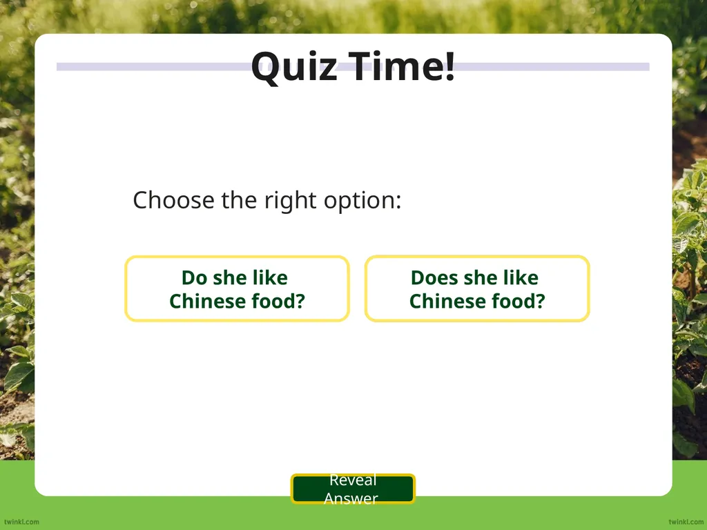 We use the auxiliary verb ‘do’ to make questions - slide 9 of 33
