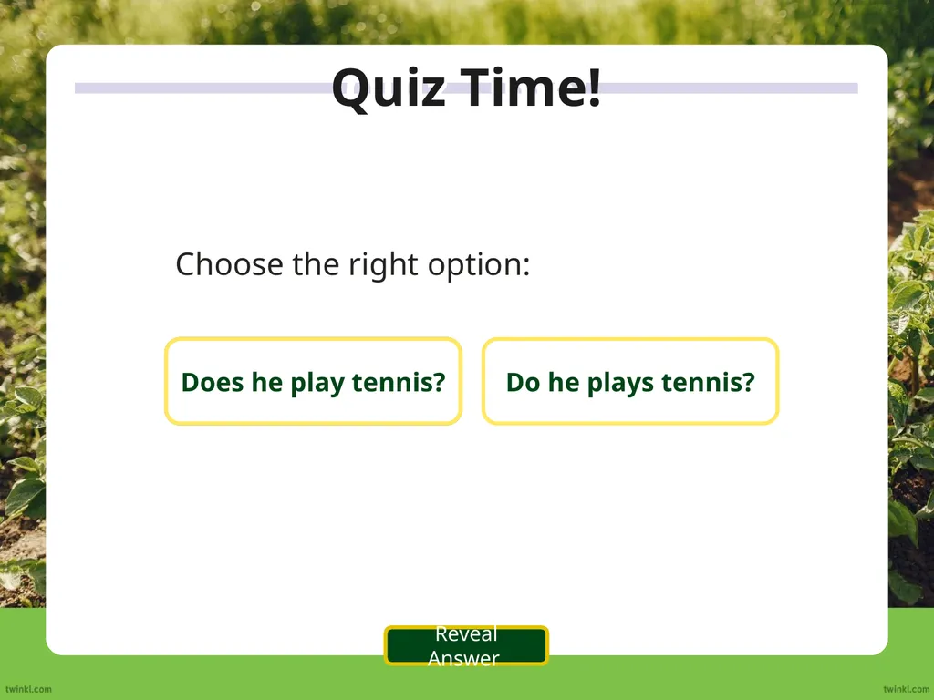 We use the auxiliary verb ‘do’ to make questions - slide 13 of 33