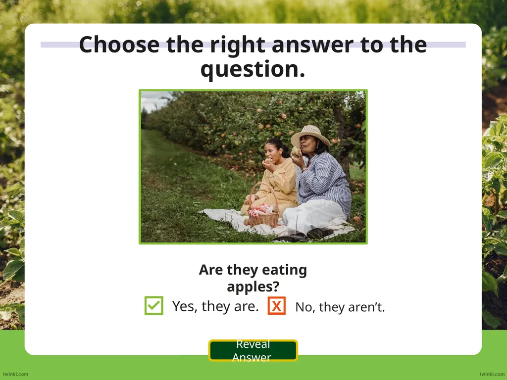 We use the auxiliary verb ‘do’ to make questions - slide 18 of 33