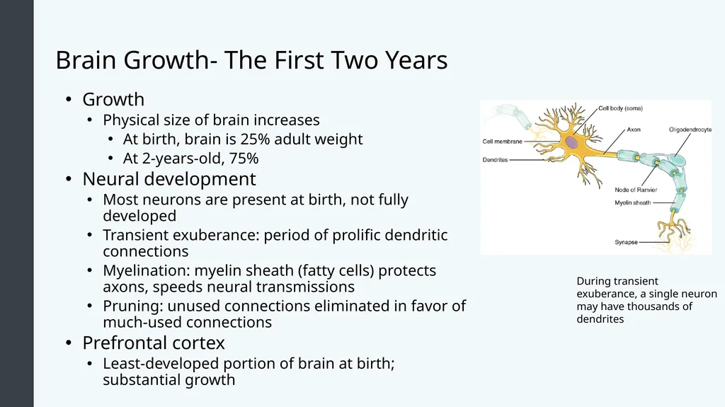 Lifespan Development Module 4; Infancy Module - slide 7 of 35