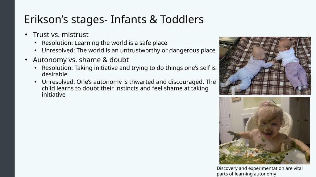 Lifespan Development Module 4; Infancy Module - slide 31 of 35