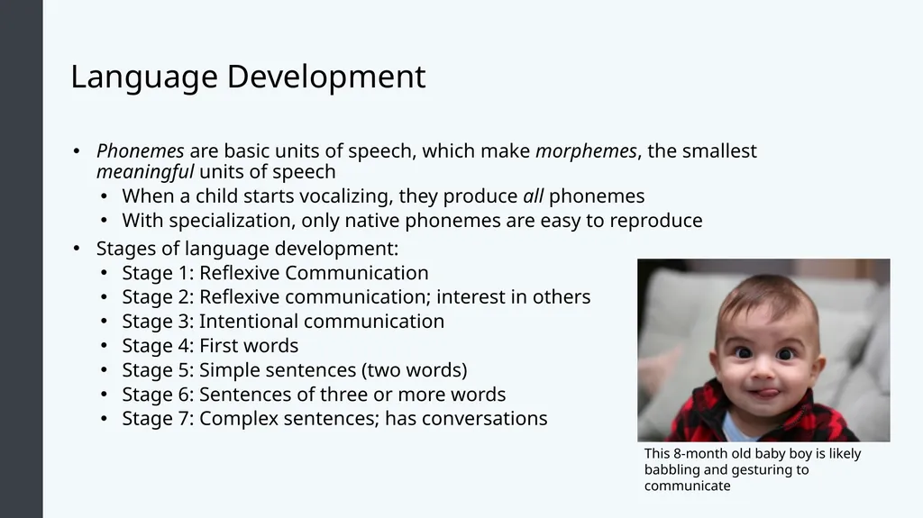 Lifespan Development Module 4; Infancy Module - slide 19 of 35