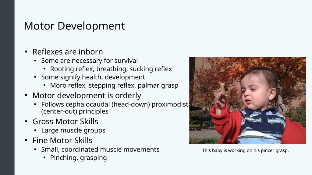 Lifespan Development Module 4; Infancy Module - slide 8 of 35