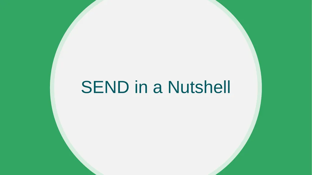 SEND in a Nutshell Malcolm Reeve - National Leader - slide 7 of 33