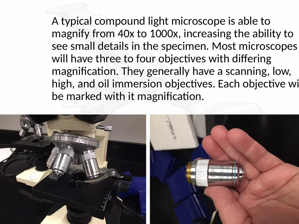Use and Care of a Compound Light Microscope Animal - slide 3 of 21