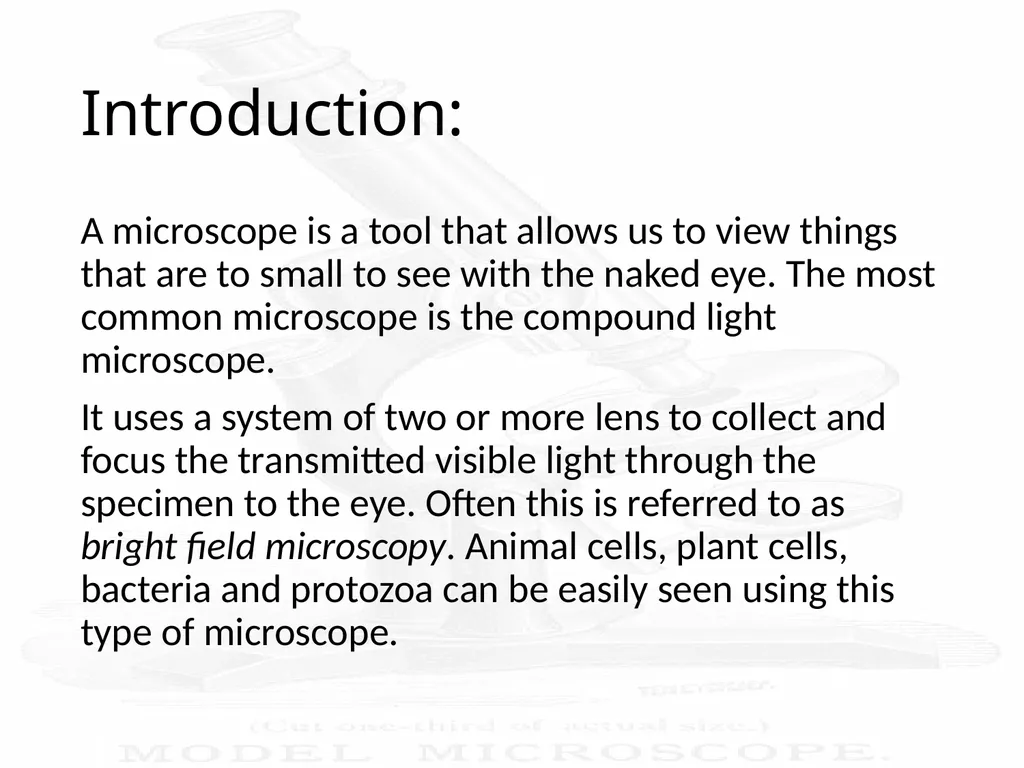 Use and Care of a Compound Light Microscope Animal - slide 2 of 21