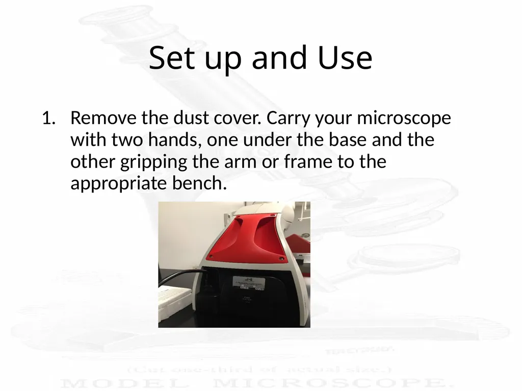Use and Care of a Compound Light Microscope Animal - slide 7 of 21