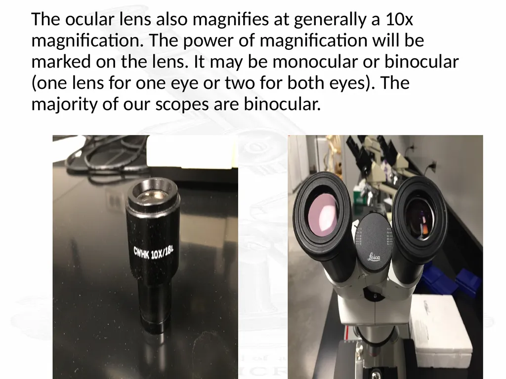 Use and Care of a Compound Light Microscope Animal - slide 4 of 21