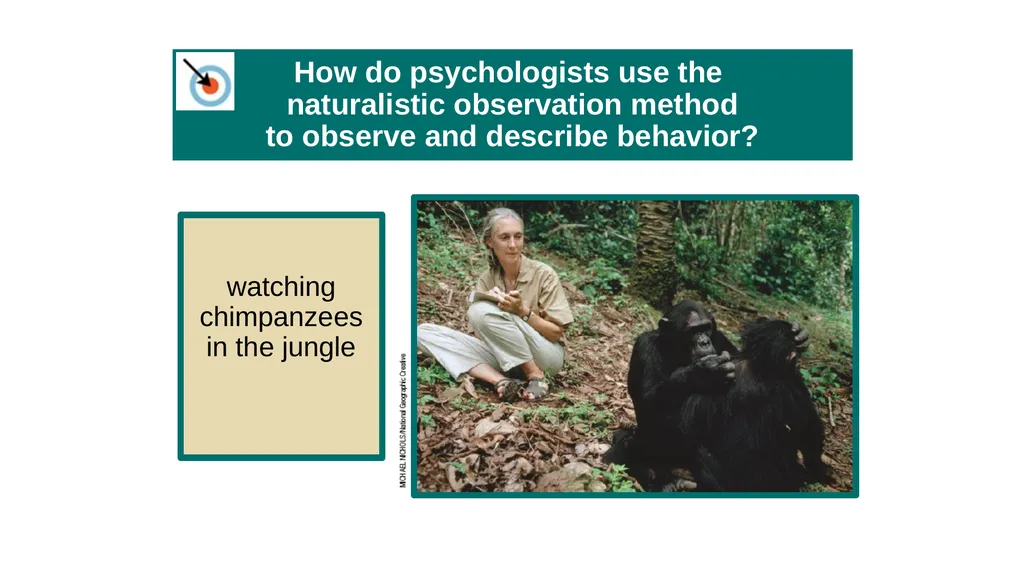Unit 2 Research Methods: Thinking Critically With - slide 46 of 167