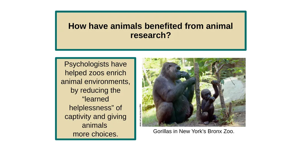 Unit 2 Research Methods: Thinking Critically With - slide 119 of 167