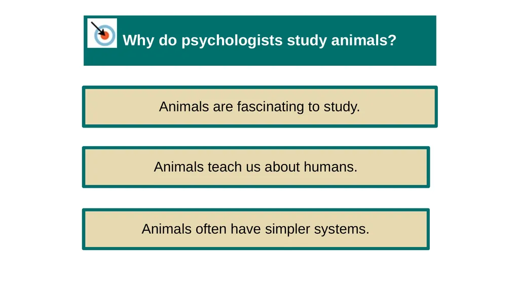 Unit 2 Research Methods: Thinking Critically With - slide 117 of 167