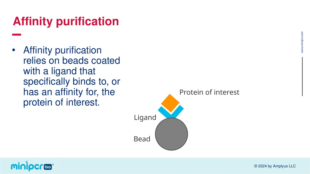 Biotech Skills Lab: Protein Expression and - slide 8 of 46