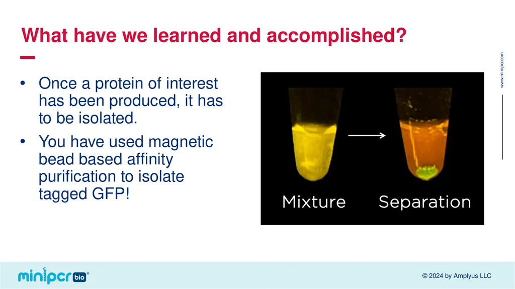 Biotech Skills Lab: Protein Expression and - slide 45 of 46