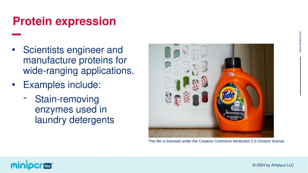 Biotech Skills Lab: Protein Expression and - slide 3 of 46