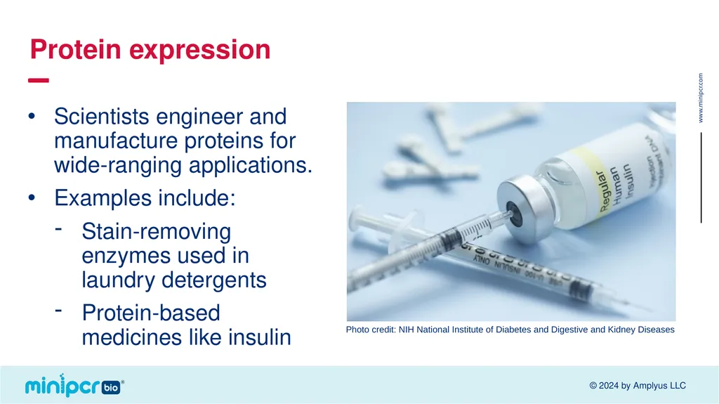 Biotech Skills Lab: Protein Expression and - slide 4 of 46