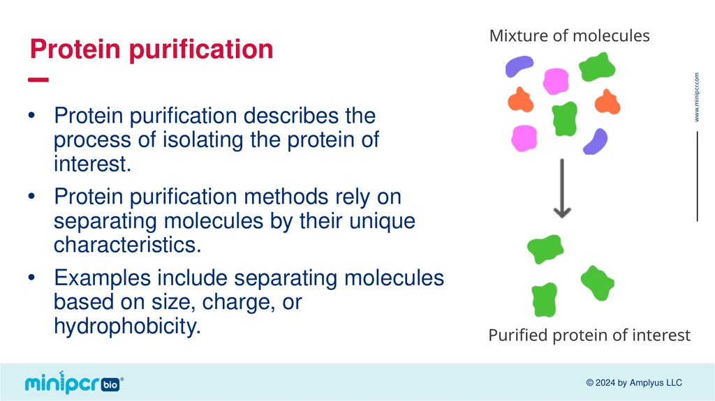 Biotech Skills Lab: Protein Expression and - slide 7 of 46