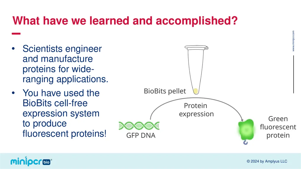 Biotech Skills Lab: Protein Expression and - slide 44 of 46