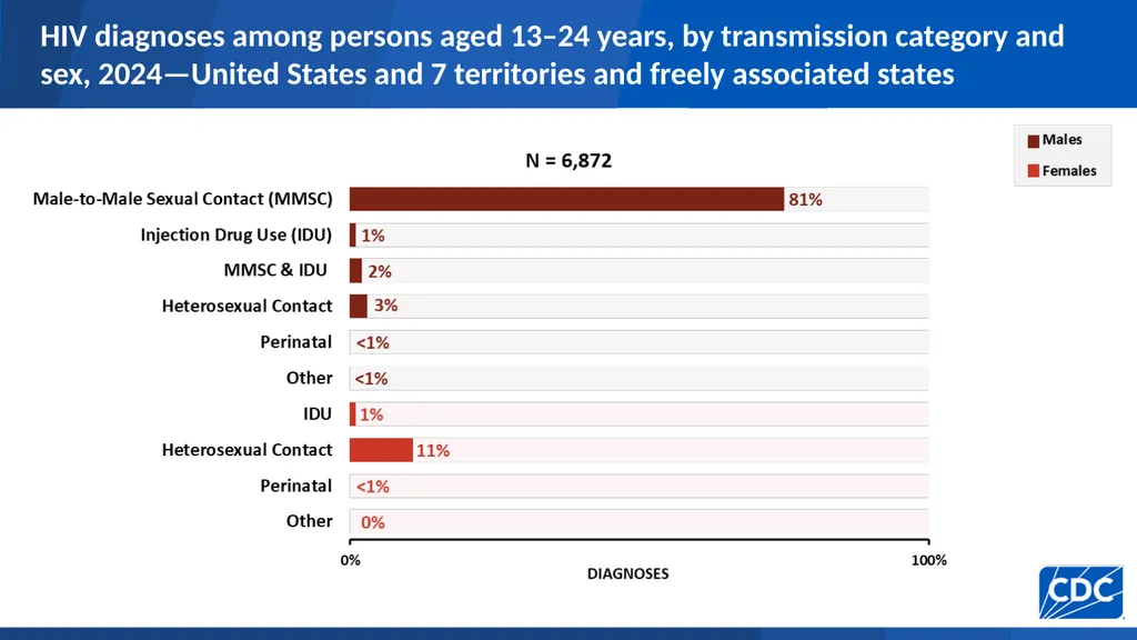 HIV Diagnoses HIV diagnoses rates, 2024—United - slide 24 of 39