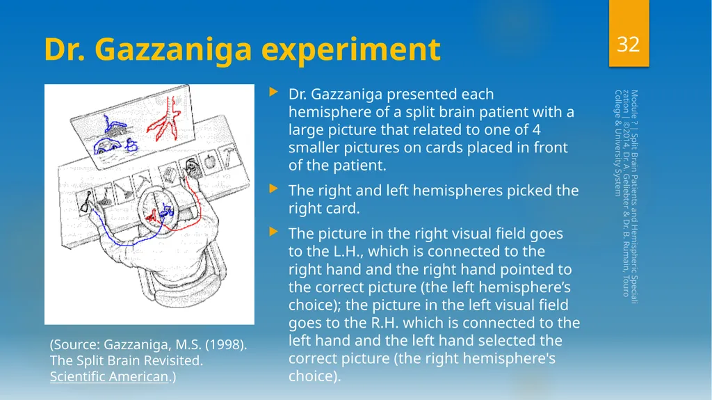 Split-Brain Patients and Hemispheric - slide 32 of 34