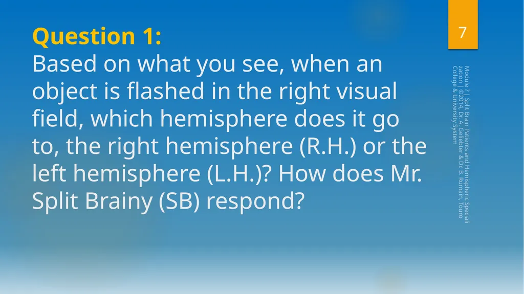 Split-Brain Patients and Hemispheric - slide 7 of 34