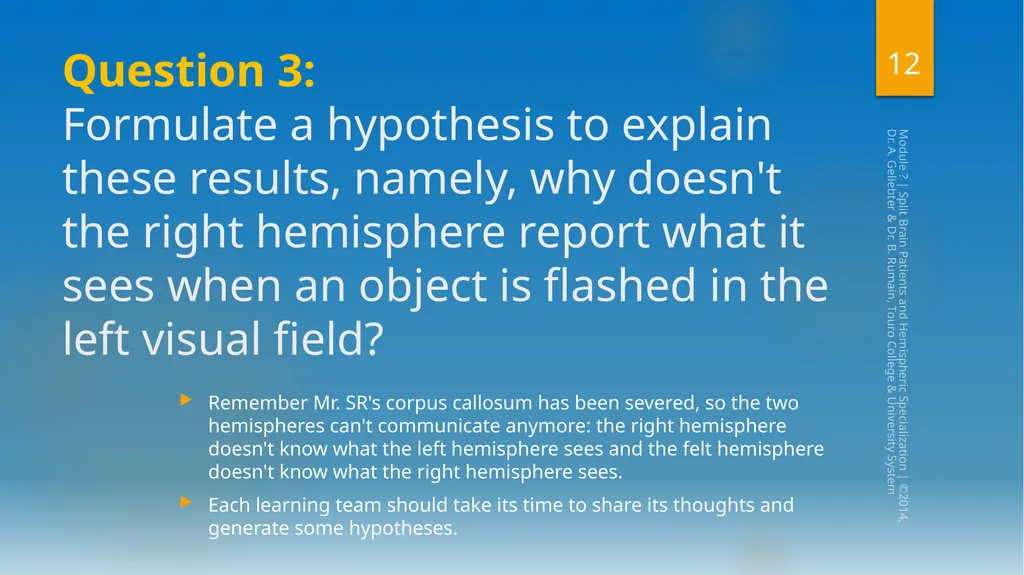 Split-Brain Patients and Hemispheric - slide 12 of 34