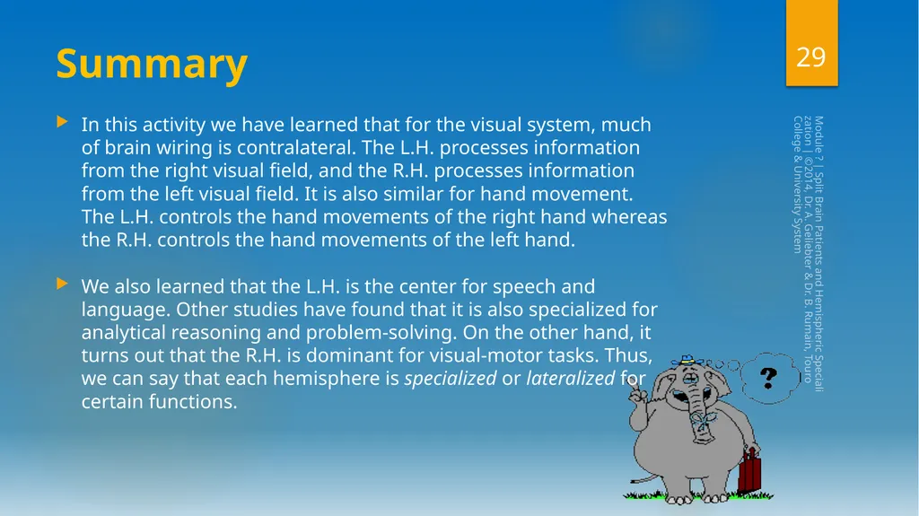 Split-Brain Patients and Hemispheric - slide 29 of 34