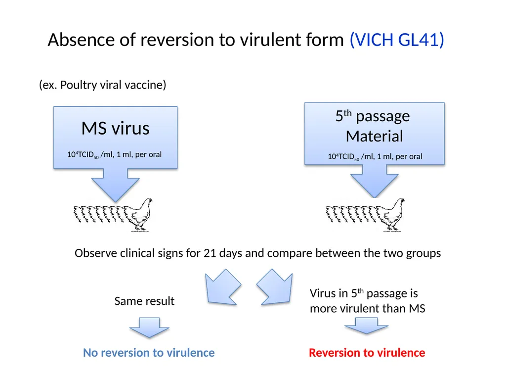 Registration requirements for vaccines -Strategies - slide 8 of 16
