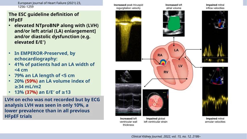 HeFSSA Heart Failure Management Meeting 2025 - slide 23 of 35