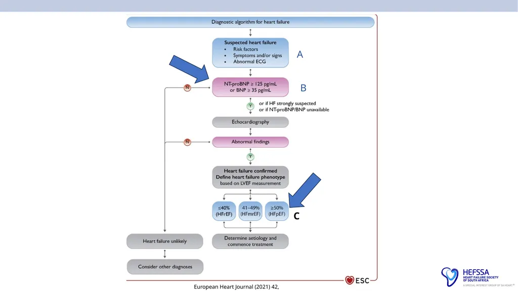 HeFSSA Heart Failure Management Meeting 2025 - slide 10 of 35