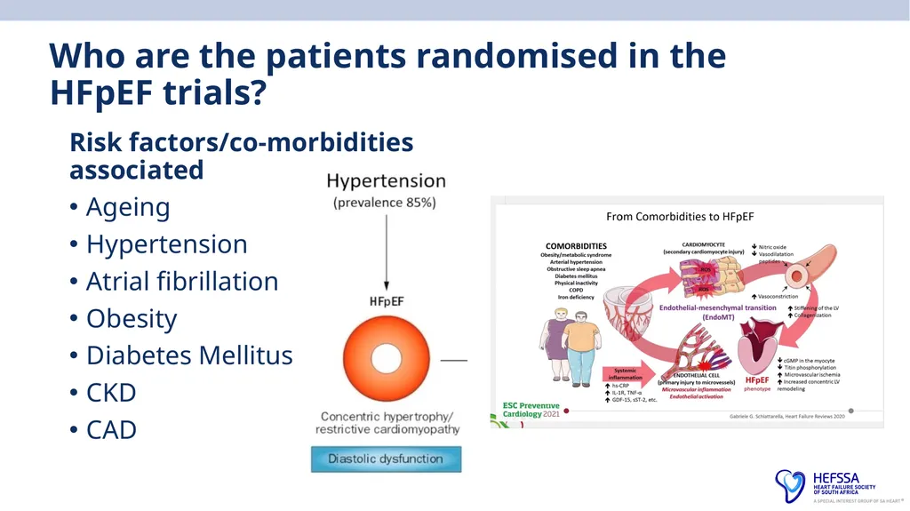 HeFSSA Heart Failure Management Meeting 2025 - slide 13 of 35