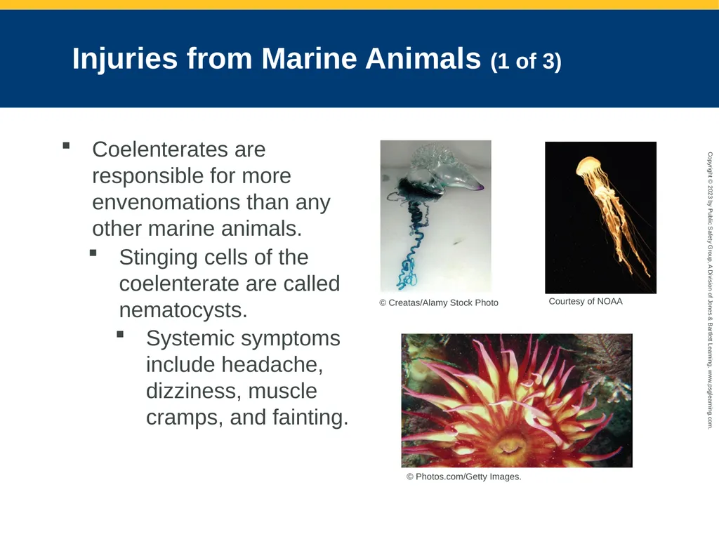 CHAPTER 34: Focused Lecture Environmental - slide 126 of 128