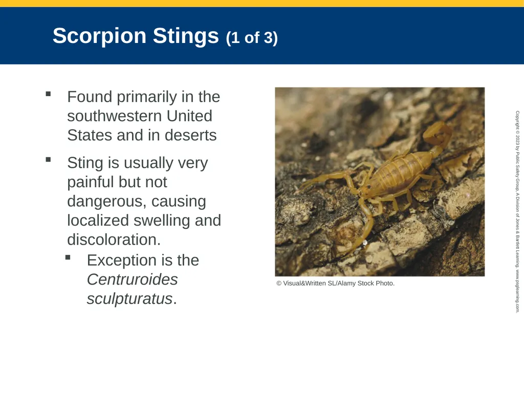 CHAPTER 34: Focused Lecture Environmental - slide 119 of 128