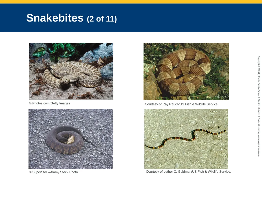 CHAPTER 34: Focused Lecture Environmental - slide 109 of 128