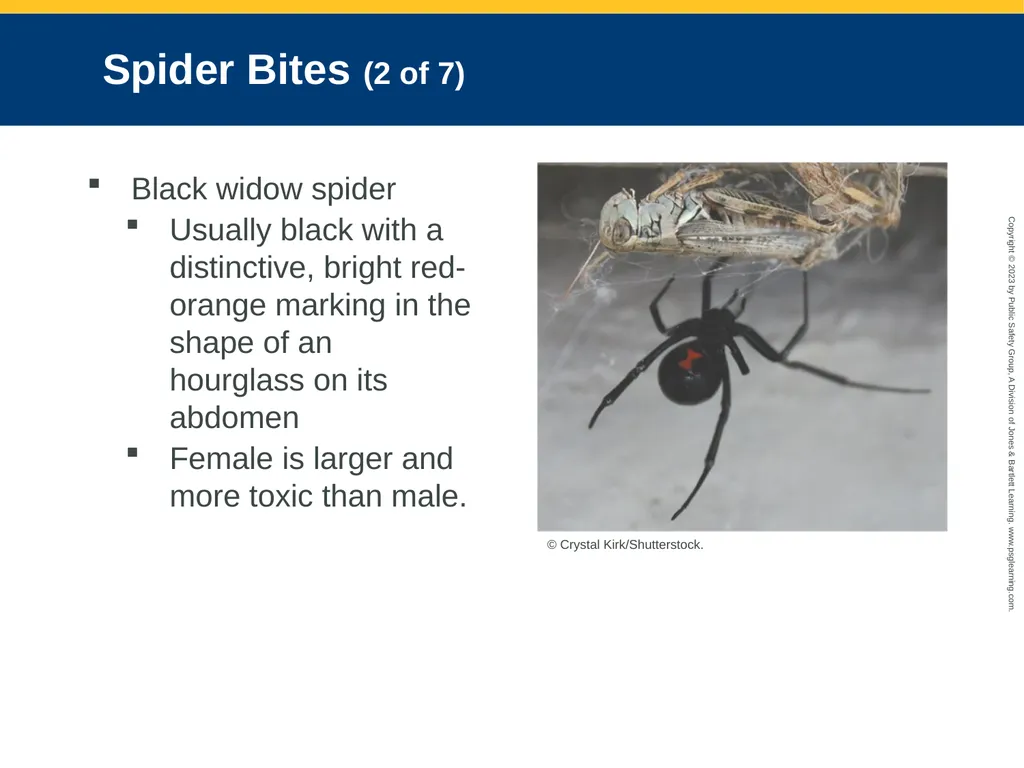 CHAPTER 34: Focused Lecture Environmental - slide 100 of 128