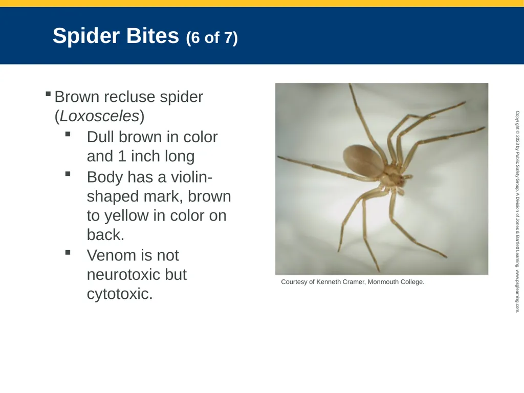 CHAPTER 34: Focused Lecture Environmental - slide 104 of 128