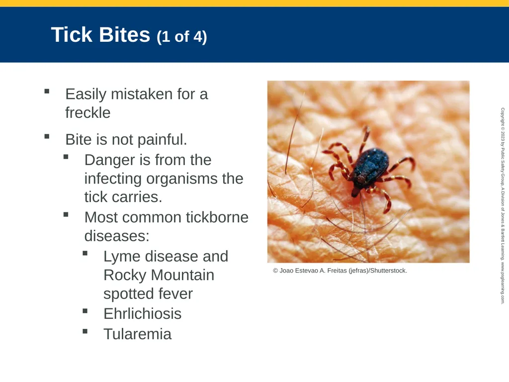 CHAPTER 34: Focused Lecture Environmental - slide 122 of 128