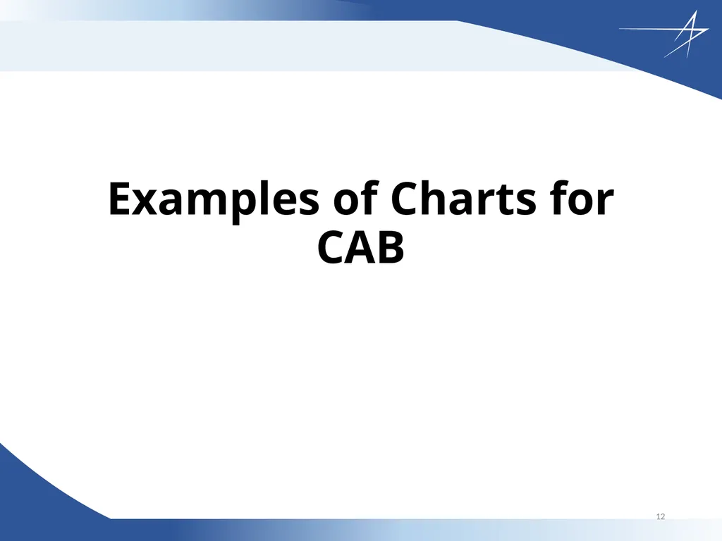 Corrective Action Board Overview Updated: 26 April - slide 12 of 28