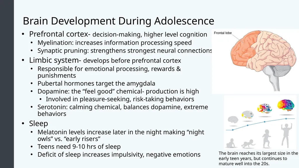 Lifespan Development Module 7: Adolescence Module - slide 7 of 32