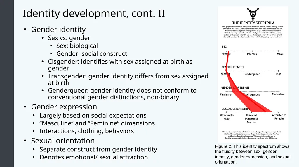 Lifespan Development Module 7: Adolescence Module - slide 25 of 32