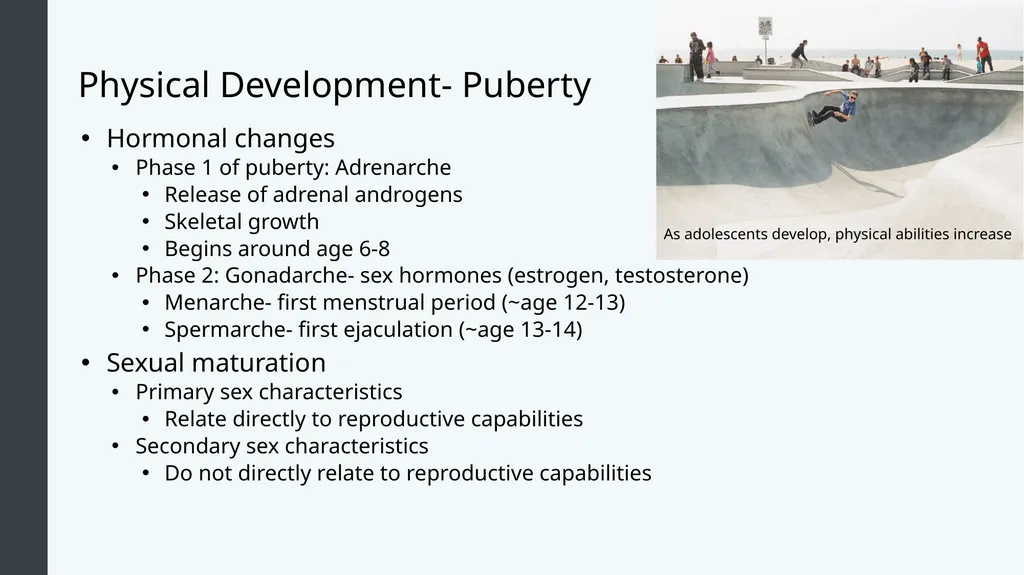 Lifespan Development Module 7: Adolescence Module - slide 5 of 32