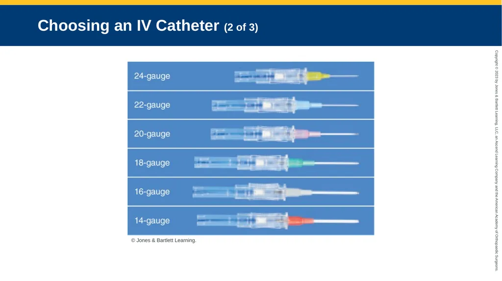 Medication Administration CHAPTER 14 Introduction - slide 46 of 185
