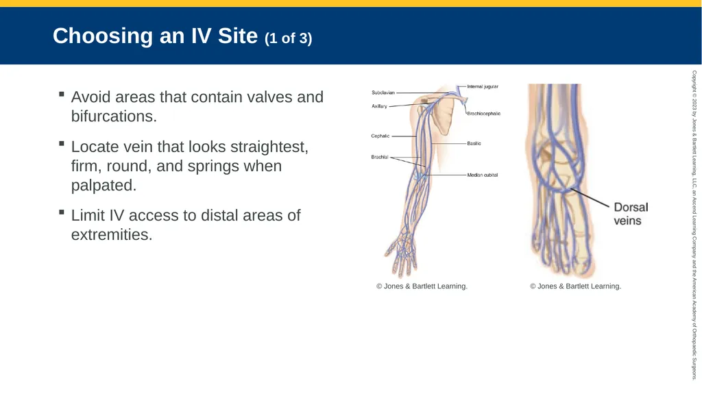 Medication Administration CHAPTER 14 Introduction - slide 42 of 185