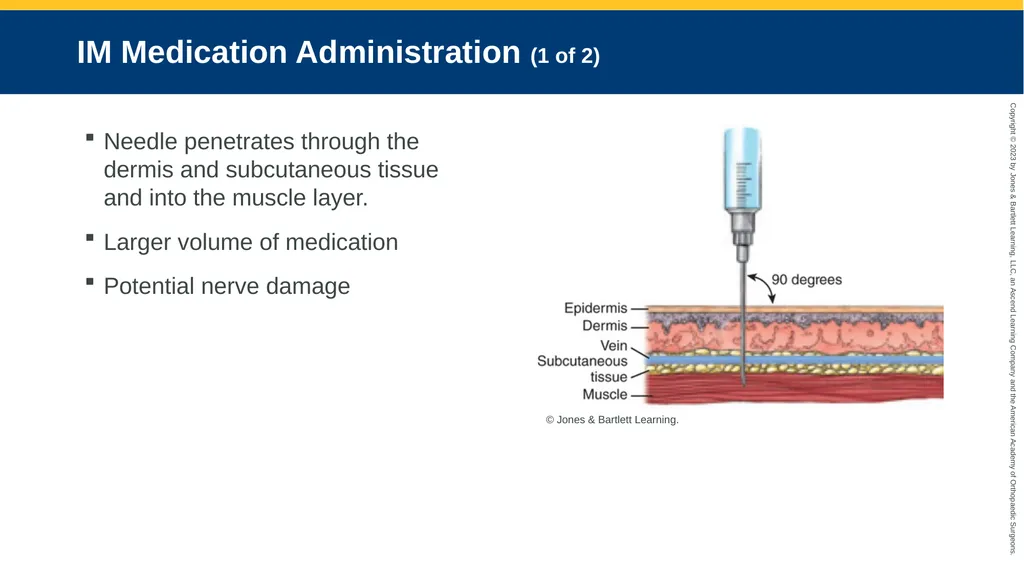 Medication Administration CHAPTER 14 Introduction - slide 150 of 185